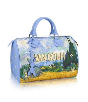 Louis Vuitton Speedy 30 M43314