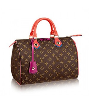 Louis Vuitton M41665 Speedy 30 Totem Tote Bag Monogram Canvas