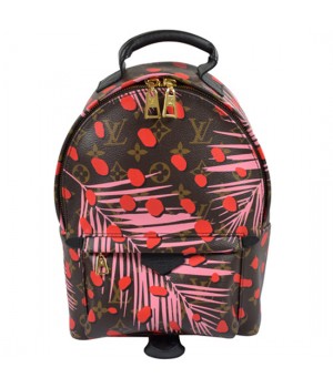 Louis Vuitton M41981 Palm Springs Backpack PM Monogram Canvas