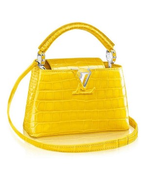 Louis Vuitton Capucines Mini Crocodile Bag N92562
