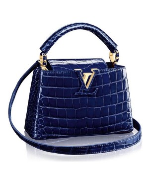 Louis Vuitton Capucines Mini Crocodile Bag N93074