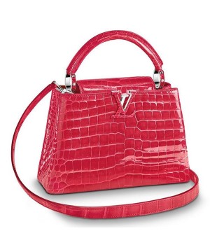 Louis Vuitton Capucines Mini Crocodile Bag N93163