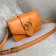 Louis Vuitton Original Smooth Leather M53950 Orange